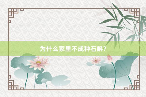 为什么家里不成种石斛？