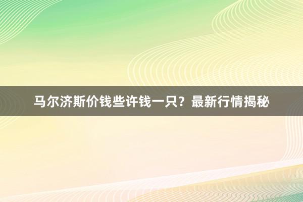 马尔济斯价钱些许钱一只？最新行情揭秘